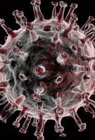 Kundenbindung jetzt – Video-Aktion in der Corona-Krise