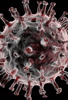 Kundenbindung jetzt – Video-Aktion in der Corona-Krise